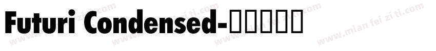 Futuri Condensed字体转换